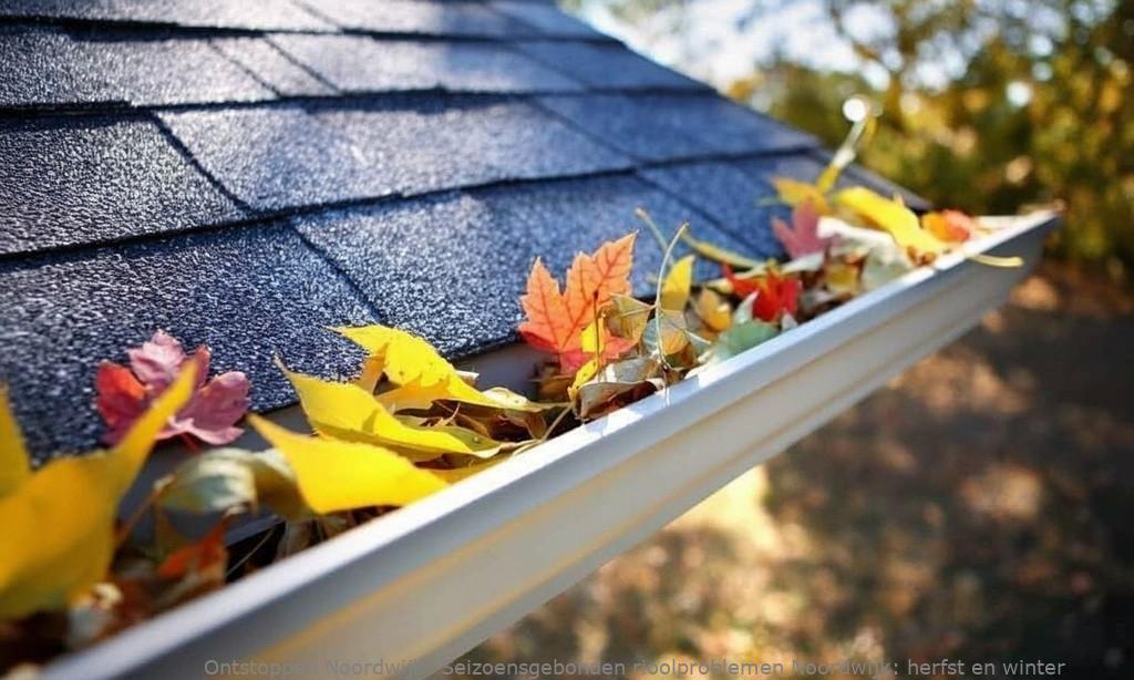 Seizoensgebonden rioolproblemen Noordwijk: herfst en winter