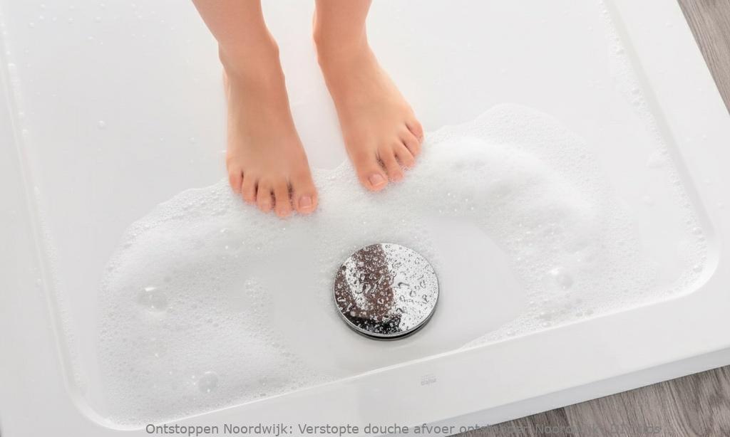 Verstopte douche afvoer ontstoppen Noordwijk: DIY tips